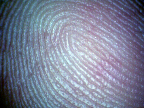 Fingerprint Could Clear Dallas Man