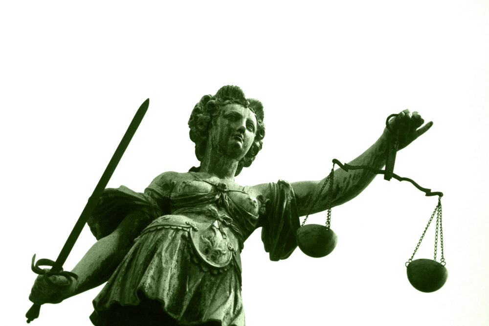 Justice Highlights in 2016: Strategic Litigation