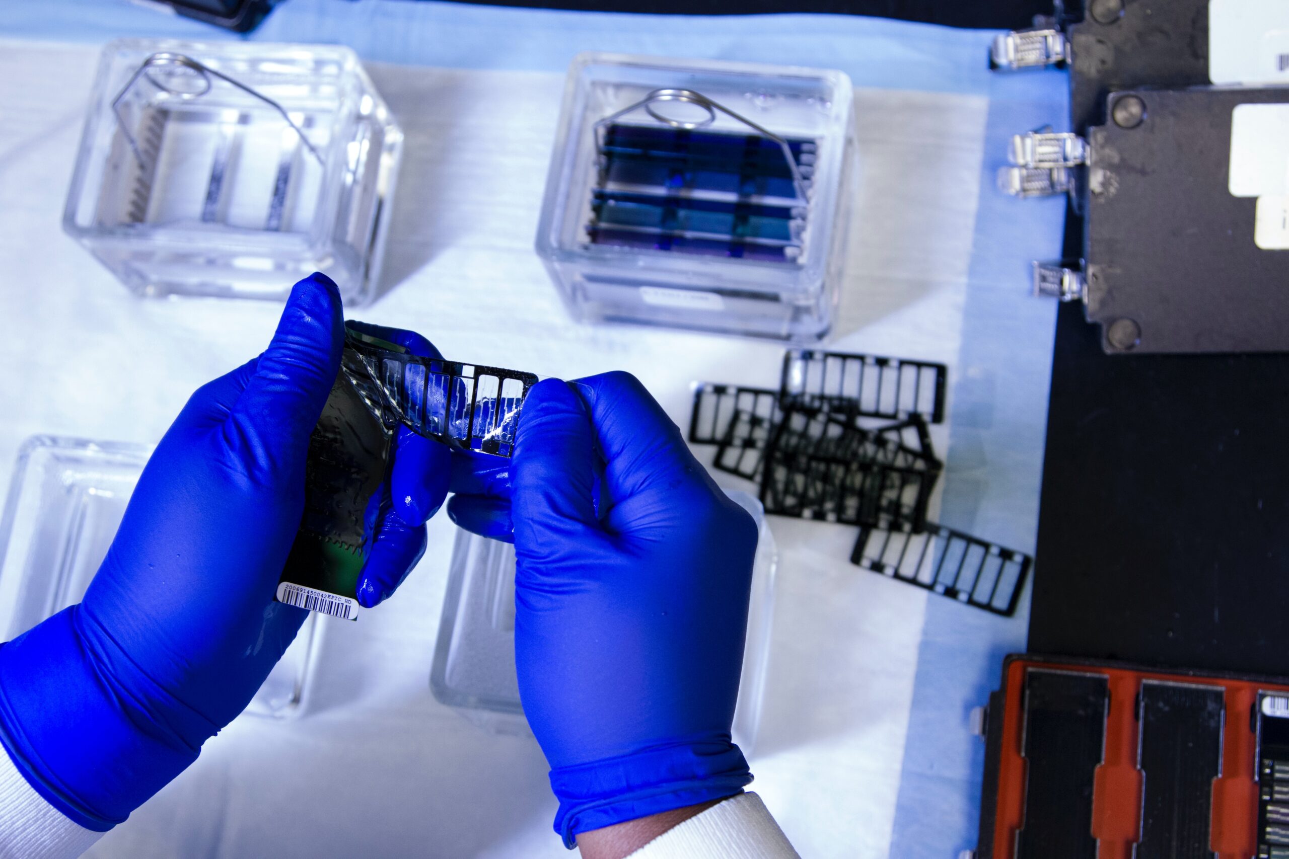A technician washes an array used in DNA genotyping and sequencing, searching the genome for small variations called single nucleotide polymorphisms (SNPs). (Image: National Cancer Institute/Unsplash)