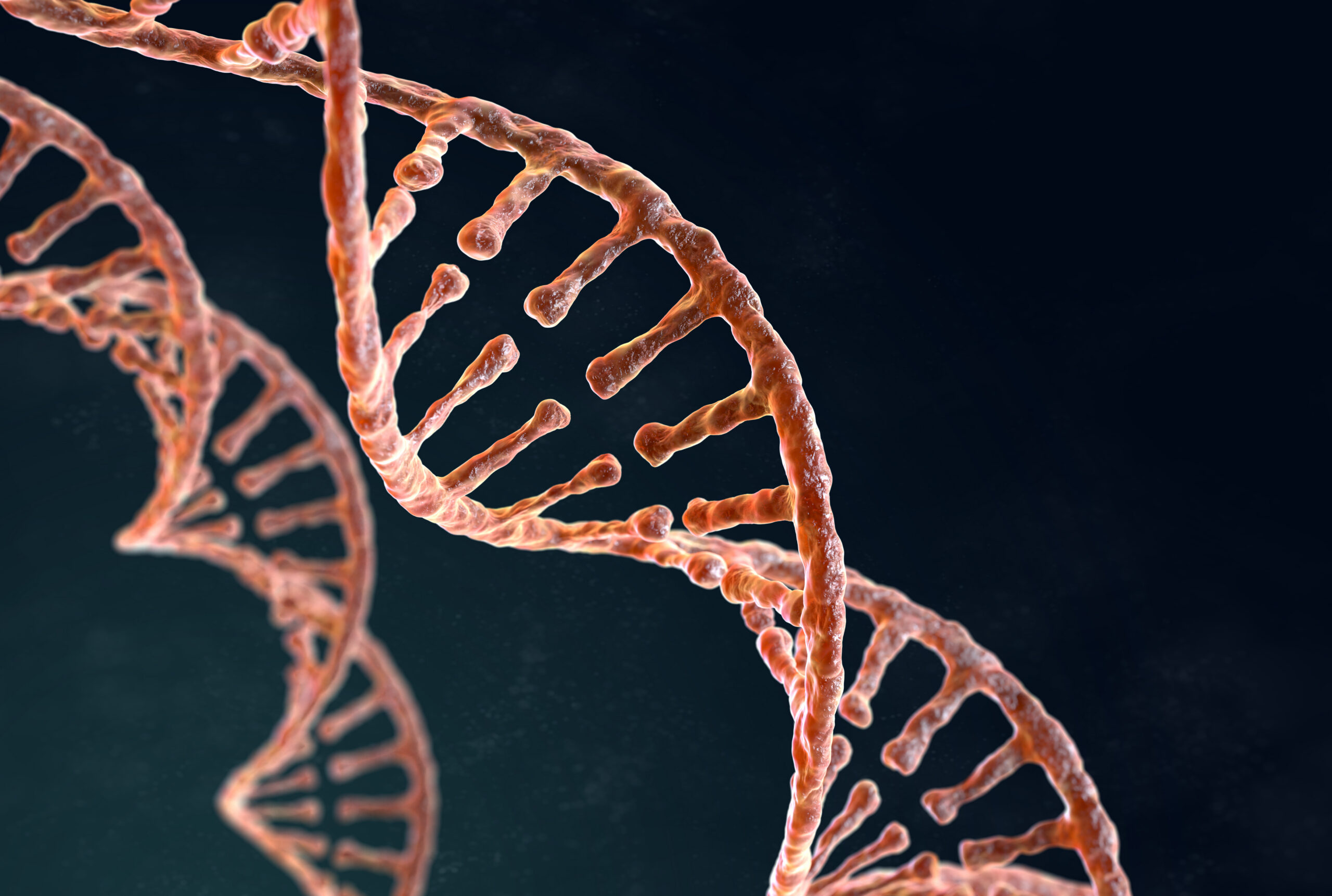 Five Facts About DNA Testing and Wrongful Convictions in 2026